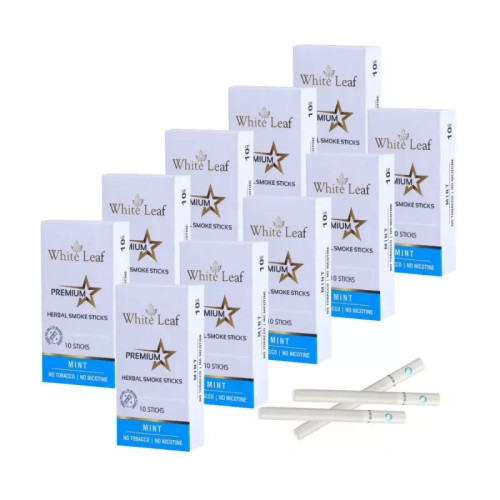 White Leaf Premium Herbal Cigarettes Mint Flavour (10pcs, Pack of 10)