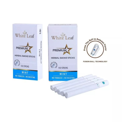 White Leaf Premium Herbal Cigarettes Mint Flavour (10pcs, Pack of 2)