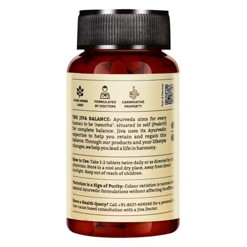 Jiva Ayurveda Pachak Vati (120 Tablets, Pack of 4)