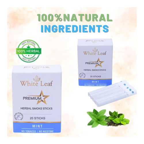White Leaf Premium Herbal Cigarettes Mint And Regular Flavour (20 Boxes Each 20 Sticks) (400pcs)