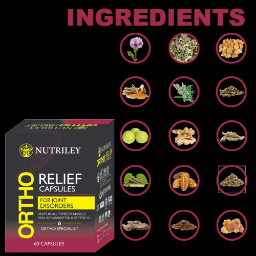 Nutriley Ortho Relief  Capsules (60 Capsules)