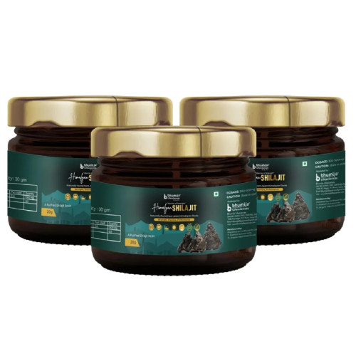 Bhumija Himalayan Shilajit Resin (20g, Pack of 3)