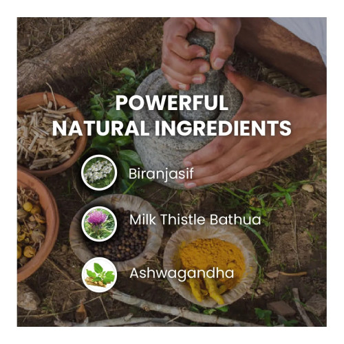 Cipzer Fatty Liver Solution (60cap)