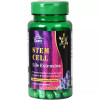 Cipzer Stem Cell (30cap)