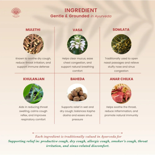 Dhanwantri Pharmaceuticals Khansi Mukta (100ml)