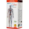 Bioqem Pharma Cardio Pro Syrup Sugar Free (500ml)