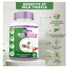 Divya Shree Milk Thistle (60cap)