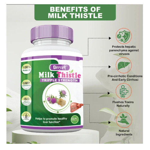 Divya Shree Milk Thistle (60cap)