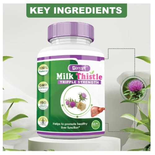Divya Shree Milk Thistle (60cap)