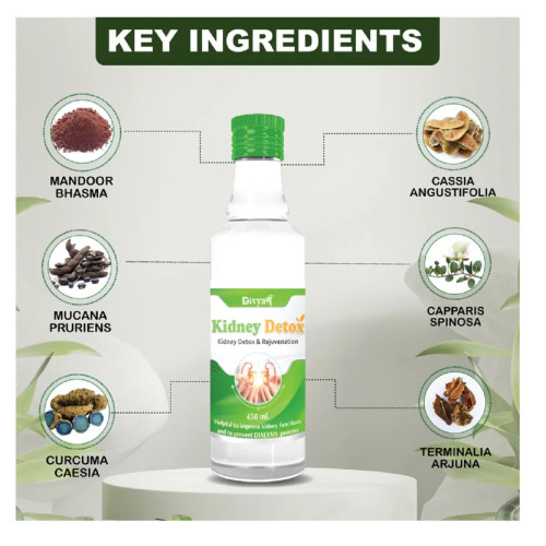 Divya Shree Kidney Detox Syrup (450ml)