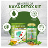 Divya Shree Kaya Kwath Kadha Powder & Kaya Detox  Capsulesule Combo (100g +60 Capsulesule) (1Pack)