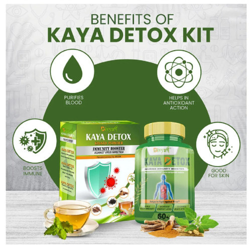 Divya Shree Kaya Kwath Kadha Powder & Kaya Detox  Capsulesule Combo (100g +60 Capsulesule) (1Pack)