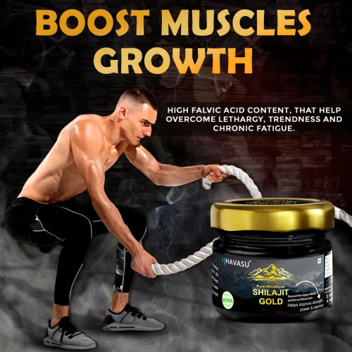 Havasu Shilajit Gold Resin (20g, Pack of 2)