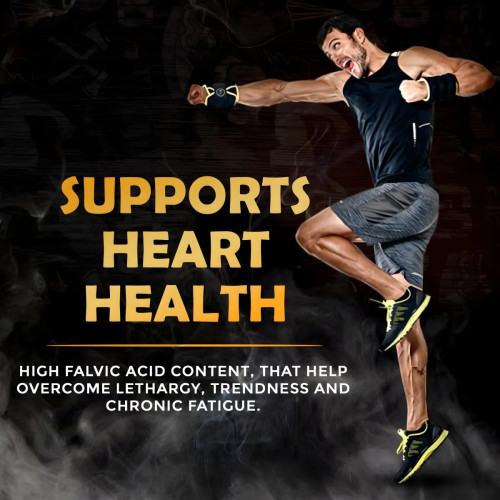 Havasu Shilajit Gold Resin (20g, Pack of 2)