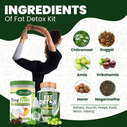 Divya Shree Fat Detox  Capsulesule + Easy Fresh Powder + Punch Tulsi Drop ( Capsules 60 + 75gm  + 30ml) (1Pack)