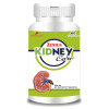 Zenius India Kidney Care (60cap)