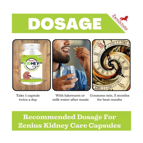 Zenius India Kidney Care (60cap)