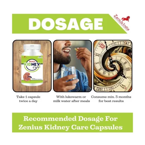 Zenius India Kidney Care (60cap)