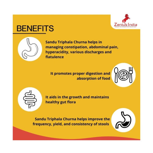 Zenius India Constipation Churan (100g)