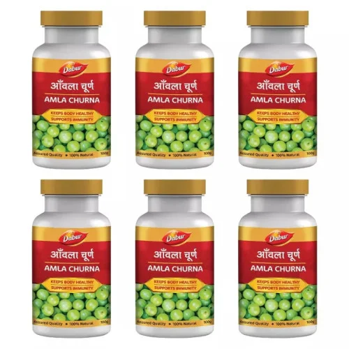 Dabur Amla Churna (100g, Pack of 6)
