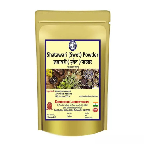 Kamdhenu Shatawari Powder (100g)