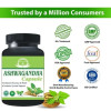 Qasmi Ayurveda Ashwagandha (60 Capsules)