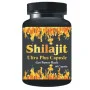 Qasmi Ayurveda Shilajit Ultra Plus (60 Capsules)