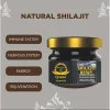 Qasmi Ayurveda Shilajit Resin (15g)