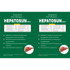 Pratik Nutraceuticals Hepatosun Syrup (200ml)