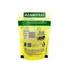 Azamdeal Adrak Murabba Sukha (300g)
