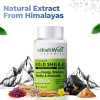 Health Veda Organics Gold Shilajit (60cap)