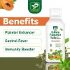 Prime Giloy Papaya Tulsi Ras (500ml)