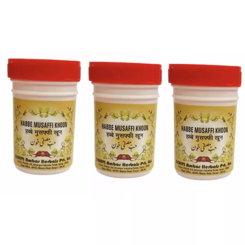 Dehlvi Ambar Habbe Musaffi Khoon (100Pills, Pack of 3)