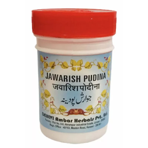 Dehlvi Ambar Jawarish Pudina (250g)