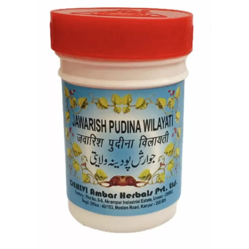 Dehlvi Ambar Jawarish Pudina Wilayti (250g)