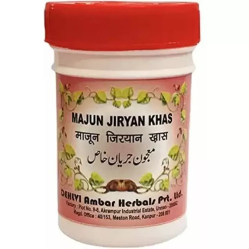 Dehlvi Ambar Majun Jiryan Khas (250g)
