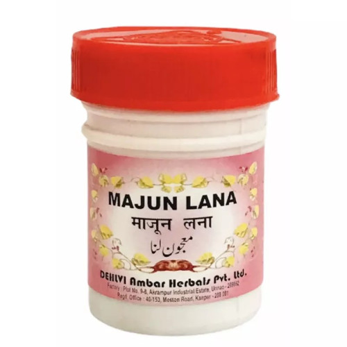 Dehlvi Ambar Majun Lana (60g)