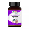 Shri Chyawan Ayurveda Madhumoksha Vati (60 Tablets)