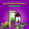 Shri Chyawan Ayurveda Karela Jamun Ras (400ml)
