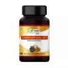 Shri Chyawan Ayurveda Chandraprabha Vati (60 Tablets)