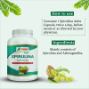 Shri Chyawan Ayurveda Spirulina With Amla  Capsulesule (60cap)