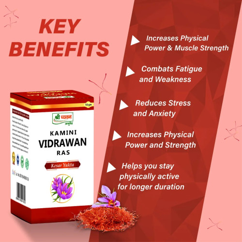 Shri Chyawan Ayurveda Kamini Vidrawan Ras (10g)