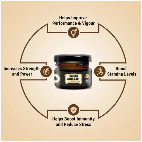 Biozemia Shilajit Purified Resin (10g)