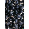 Sidhara Betta Herbals Mucuna Pruriens (Black) (Kapikaachu And Velvet Bean) Seeds Powder (15g)