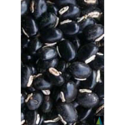 Sidhara Betta Herbals Mucuna Pruriens (Black) (Kapikaachu And Velvet Bean) Seeds Powder (15g)