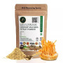 Prithvi Healthcare Cordyceps Militaris Extract Powder (50g)
