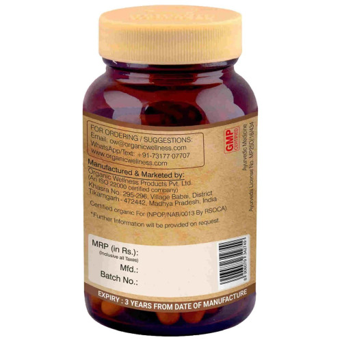 Organic Wellness Ginger 90 Vegetarian  Capsules (90 Capsules)