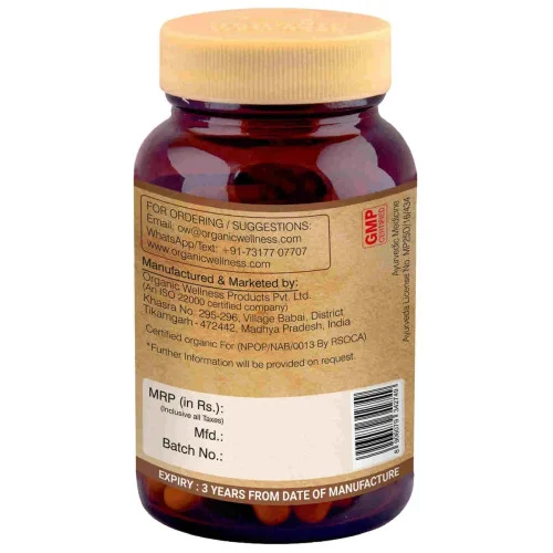 Organic Wellness Ginger 90 Vegetarian  Capsules (90 Capsules)
