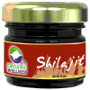Organic Wellness Shilajit Resin (20g)