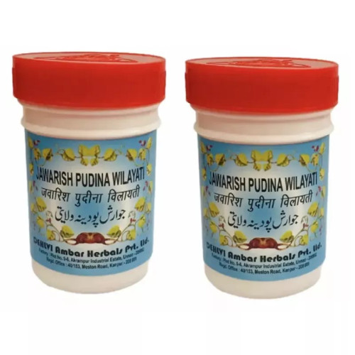 Dehlvi Jawarish Pudina Wilaity (125g, Pack of 2)